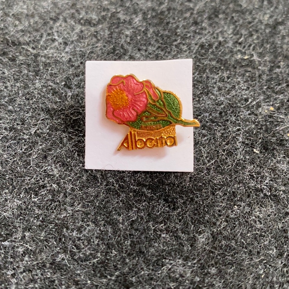 Vintage Alberta pin